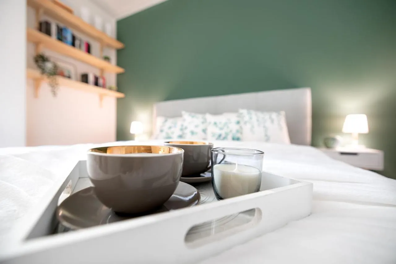 New Luxury Apartment Overlooking Viena
